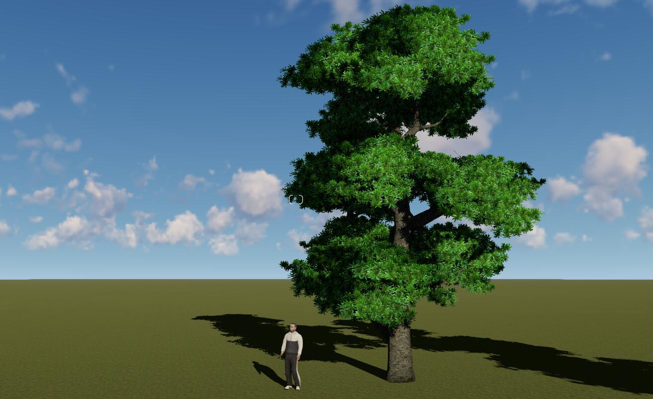 tree008.jpg