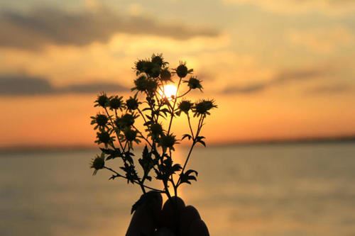 display_picture.php?url=https%3A%2F%2Fimg.jbzj.com%2Ffile_images%2Farticle%2F202009%2F202009231535001.jpg
