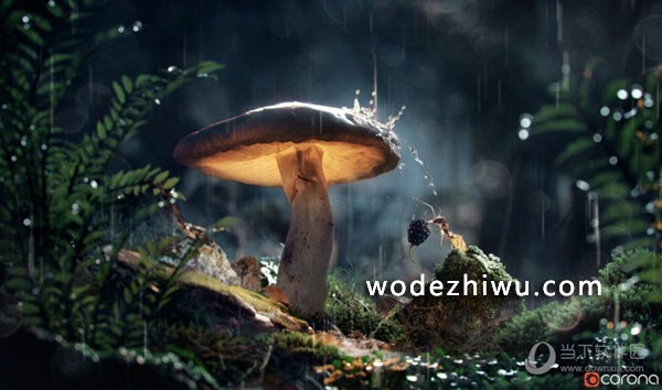 display_picture.php?url=http%3A%2F%2Fwww.downxia.com%2Fuploadfiles%2F2020%2F1104%2F20201104085051321.jpg