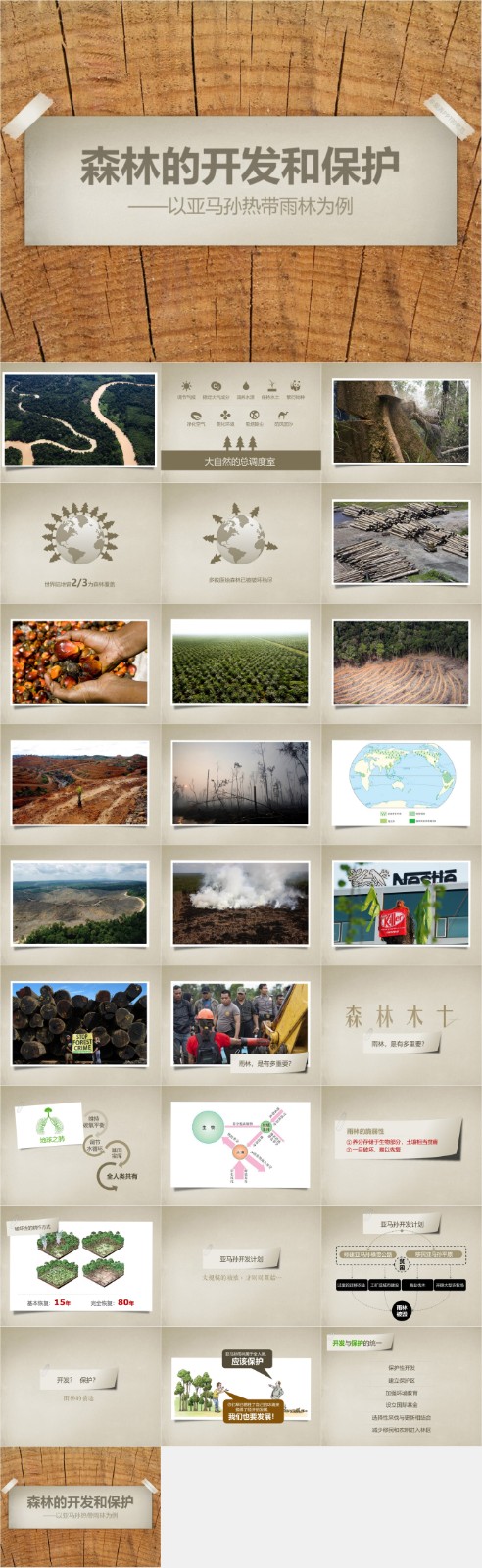 92.��̬���� ɭ�ֿ����ͱ���PPTģ��.jpg