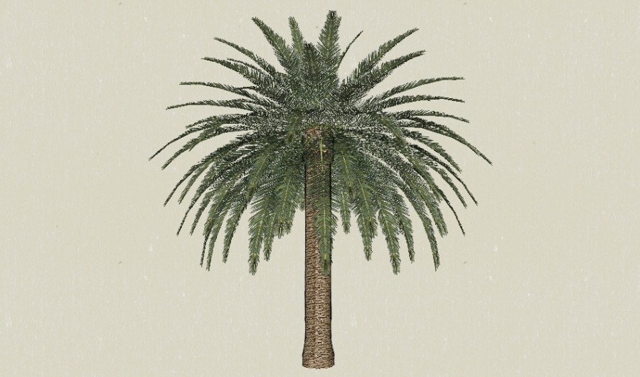 ��鵿�ֲ��1-����Sketchupģ��20220226.jpg
