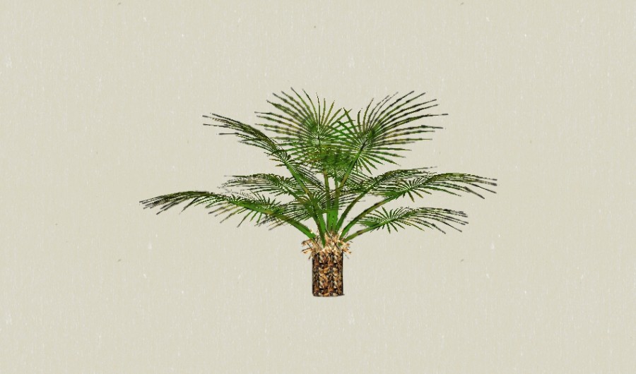 ��鵿�ֲ��4-����Sketchupģ��20220226.jpg