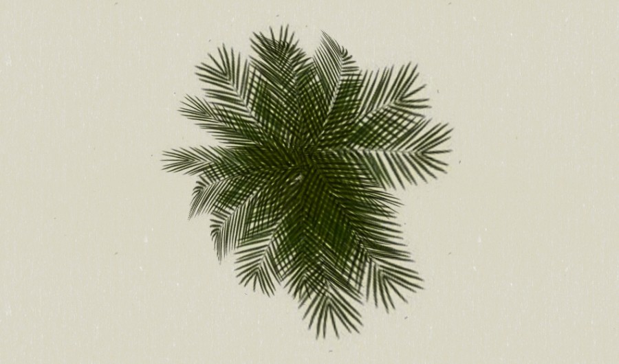 ��鵿�ֲ��10-����Sketchupģ��20220226.jpg