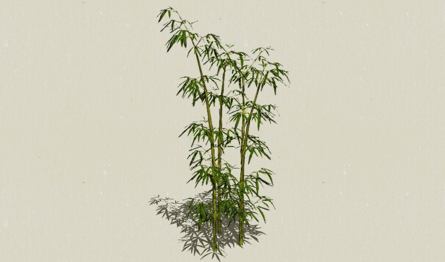 ����11-����Sketchupģ��20220226.jpg