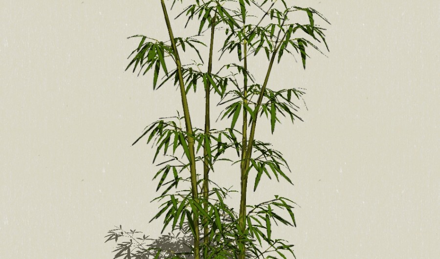 ����18-����Sketchupģ��20220226.jpg