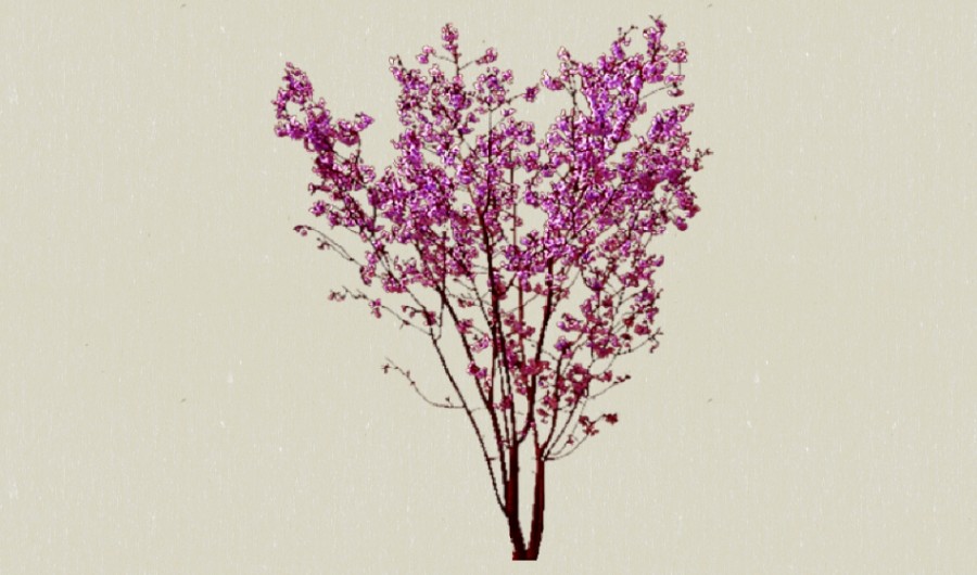�ۺ�ɫ8-����Sketchupģ��20220226.jpg