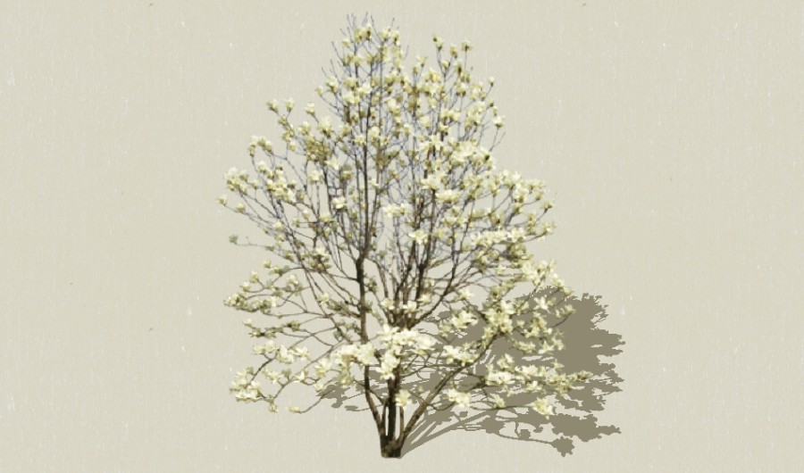 ʵ������1-����Sketchupģ��20220226.jpg