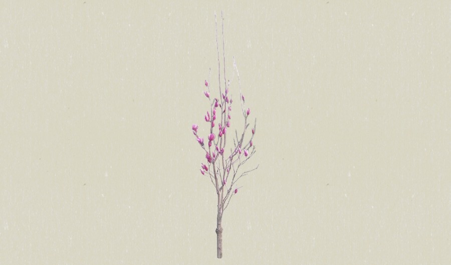 �ۺ�ɫ9-����Sketchupģ��20220226.jpg