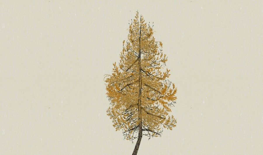 ��ɫ5-����Sketchupģ��20220226.jpg