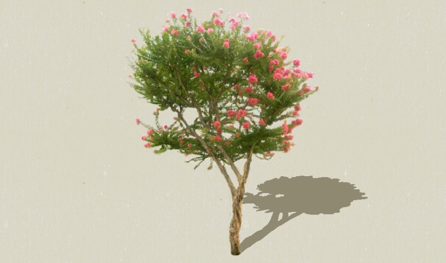 ʵ������3-����Sketchupģ��20220226.jpg