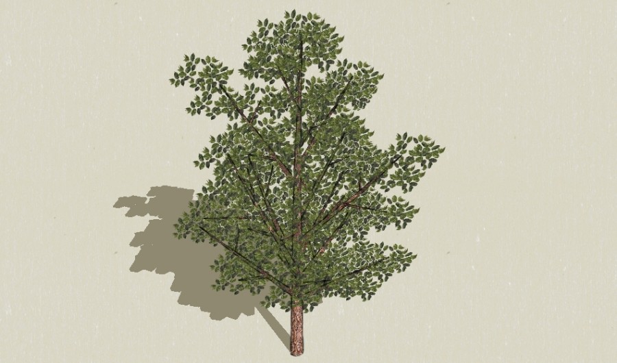 1��ɫ��ľ2-����Sketchupģ��20220226.jpg