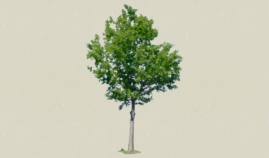1��ɫ��ľ7-����Sketchupģ��20220226.jpg