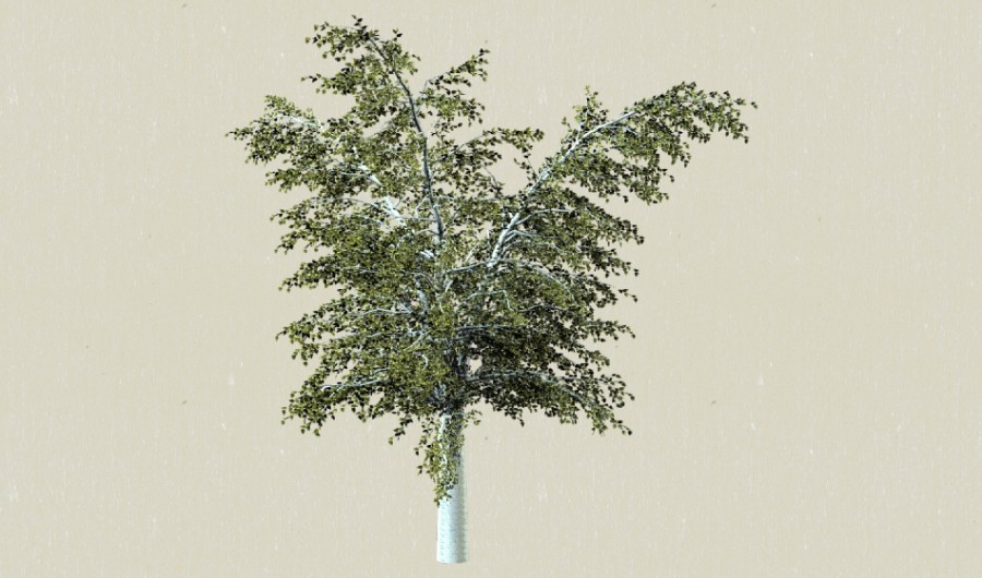 1��ɫ��ľ9-����Sketchupģ��20220226.jpg