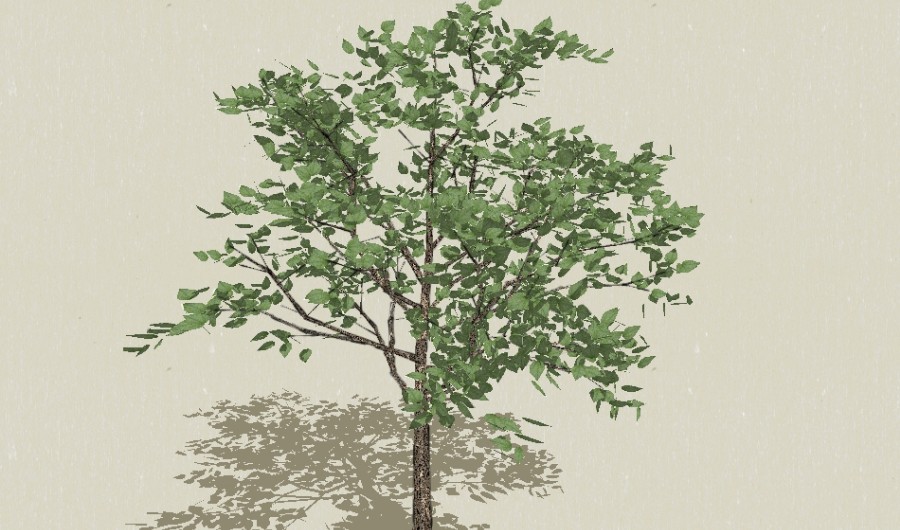 1��ɫ��ľ10-����Sketchupģ��20220226.jpg
