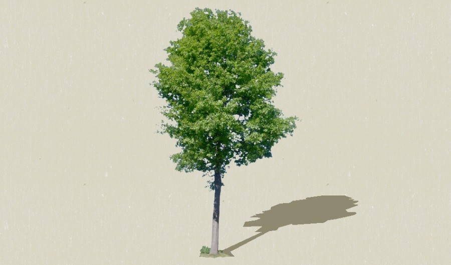 1��ɫ��ľ14-����Sketchupģ��20220226.jpg