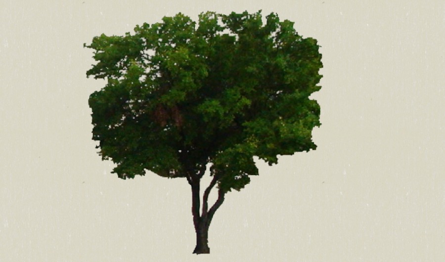 1��ɫ��ľ12-����Sketchupģ��20220226.jpg