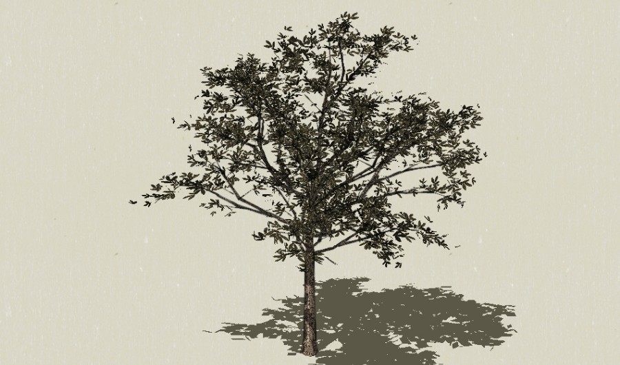 1��ɫ��ľ11-����Sketchupģ��20220226.jpg