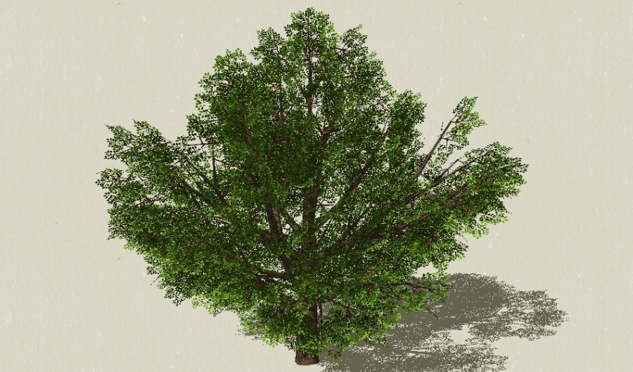 1��ɫ��ľ32-����Sketchupģ��20220226.jpg