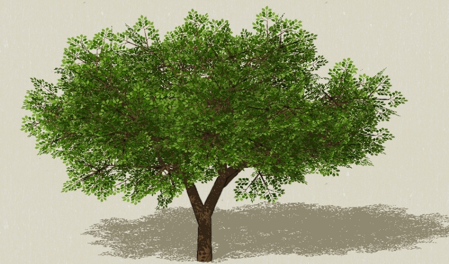 1��ɫ��ľ33-����Sketchupģ��20220226.jpg