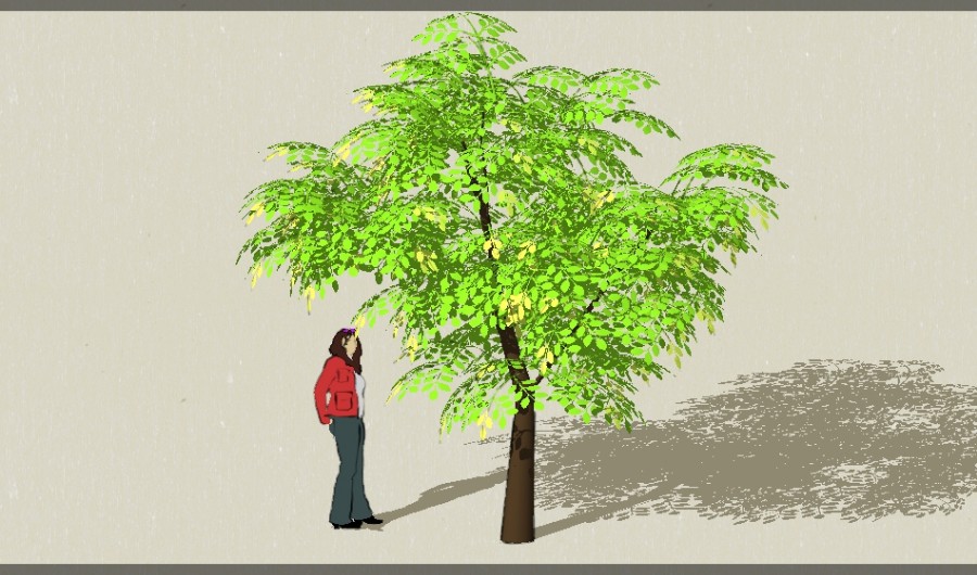 1��ɫ��ľ45-����Sketchupģ��20220226.jpg