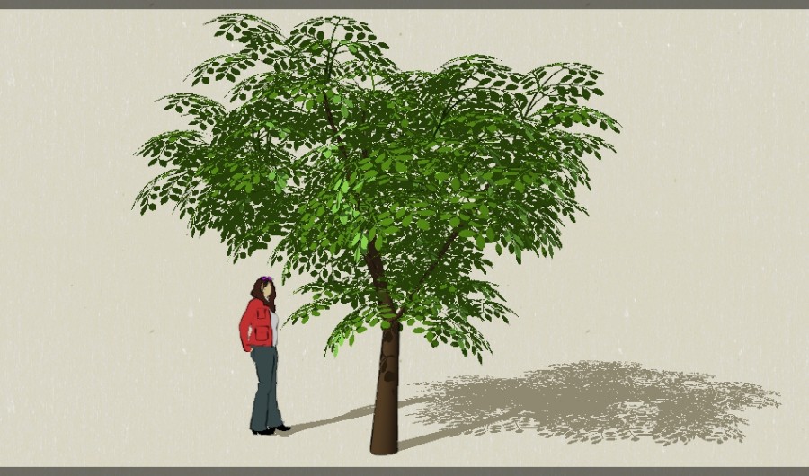 1��ɫ��ľ47-����Sketchupģ��20220226.jpg
