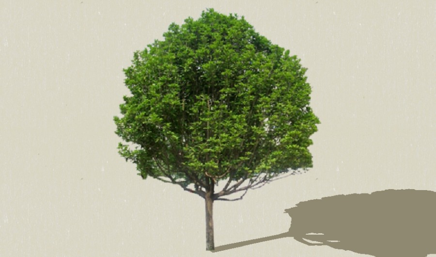 ���¹�-����Sketchupģ��20220226.jpg