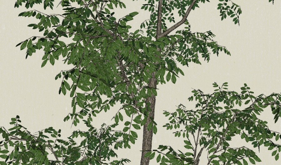 1��ɫ��ľ70-����Sketchupģ��20220226.jpg