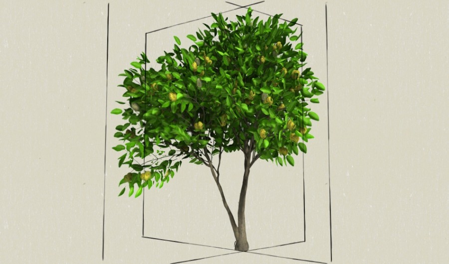 Noni��-����Sketchupģ��20220226.jpg
