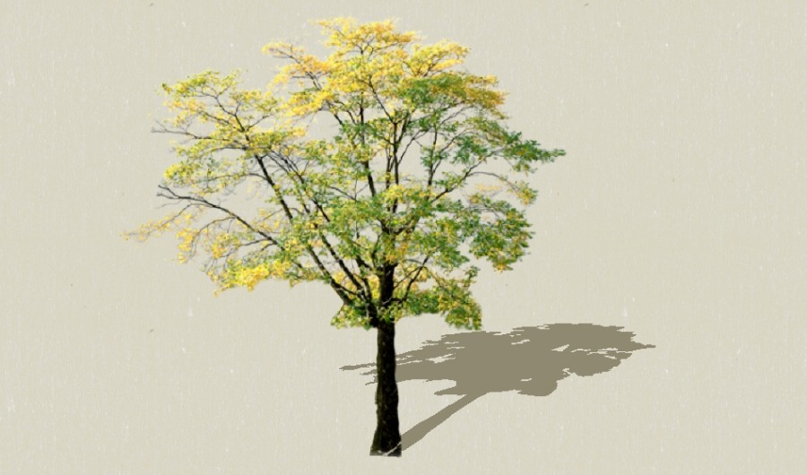 ����2-����Sketchupģ��20220226.jpg