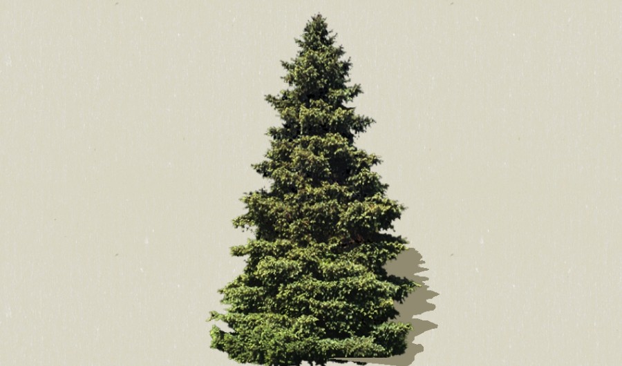 �ʰ�-����Sketchupģ��20220226.jpg