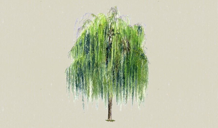 ����-����Sketchupģ��20220226.jpg