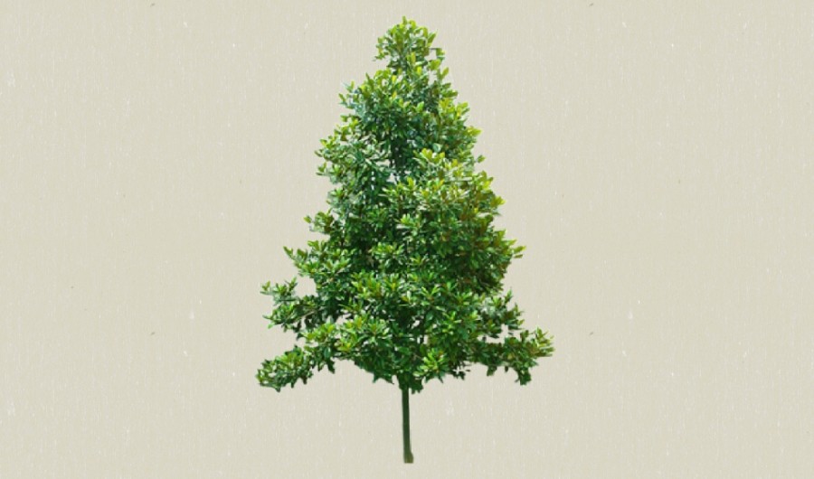 ������03-����Sketchupģ��20220226.jpg