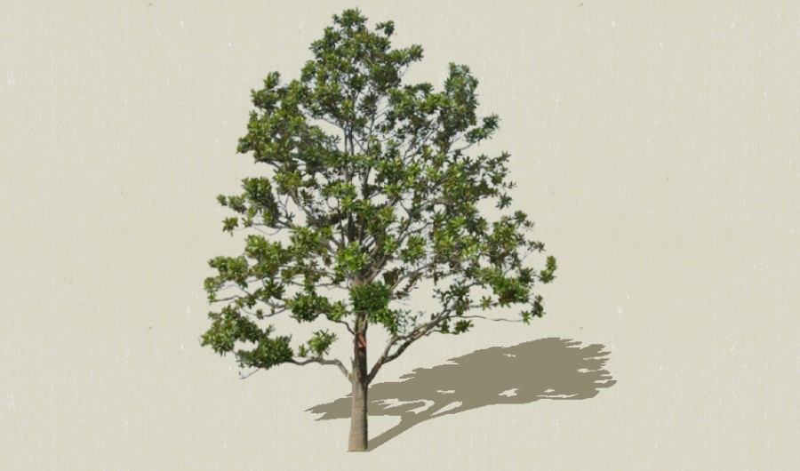 ������-����Sketchupģ��20220226.jpg