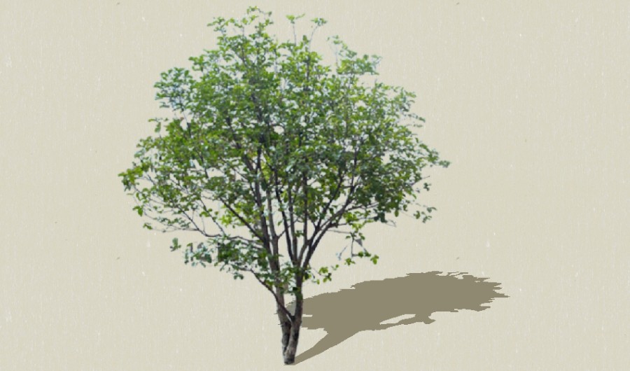 ��1-����Sketchupģ��20220226.jpg