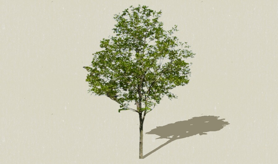 ��2-����Sketchupģ��20220226.jpg