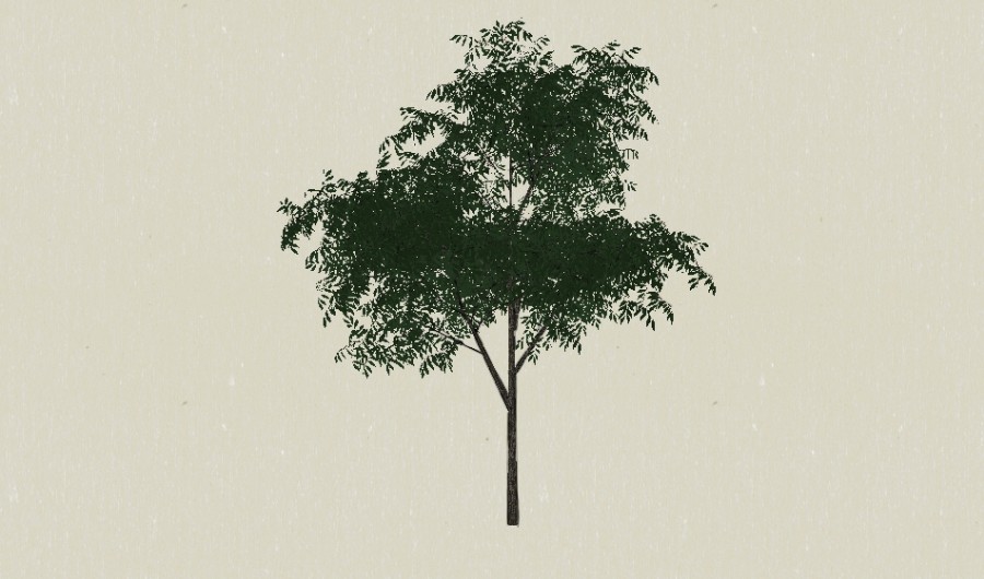 ��ɫ��ľ76-����Sketchupģ��20220226.jpg