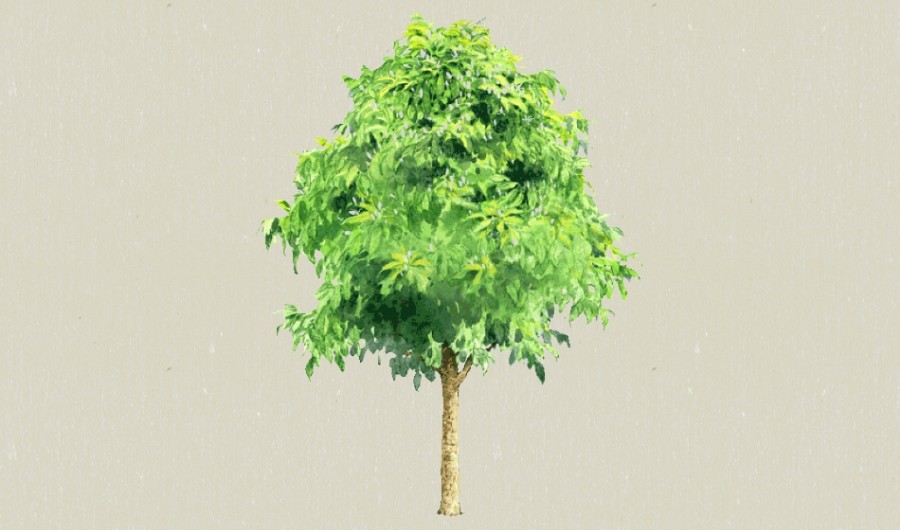 ��Ҷ��lba-����Sketchupģ��20220226.jpg