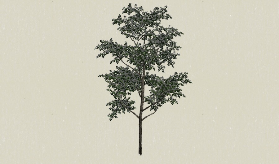 ��ɫ��ľ78-����Sketchupģ��20220226.jpg