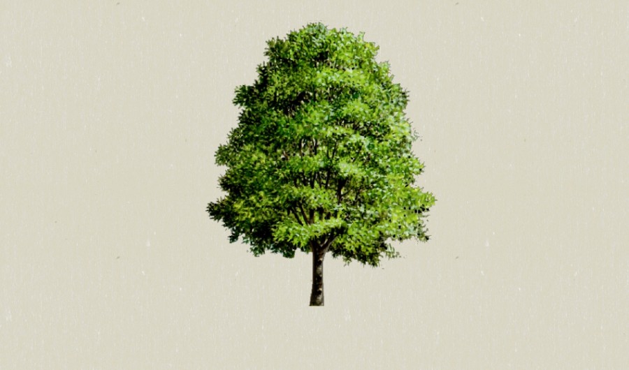 ������-����Sketchupģ��20220226.jpg