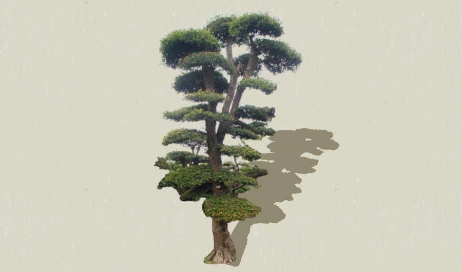 ��׮-����Sketchupģ��20220226.jpg