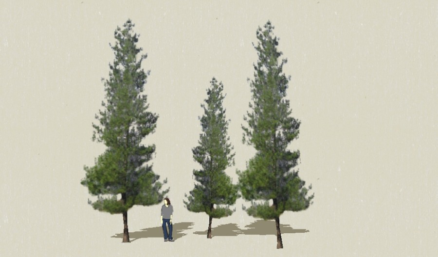 ����03-����Sketchupģ��20220226.jpg