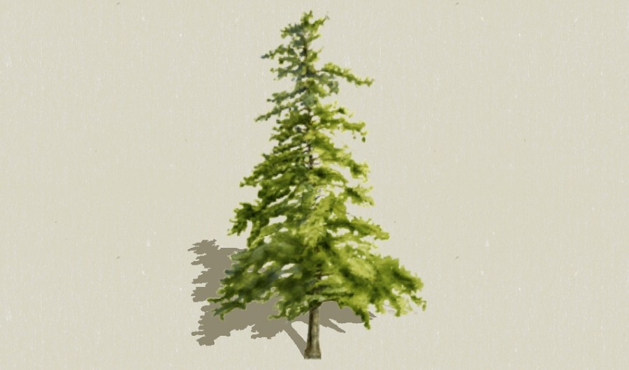 ѩ��012-����Sketchupģ��20220226.jpg