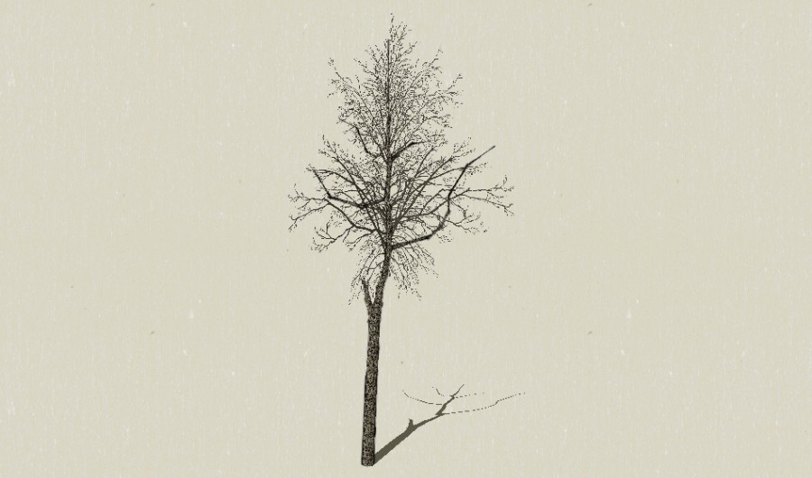����������9-����Sketchupģ��20220226.jpg