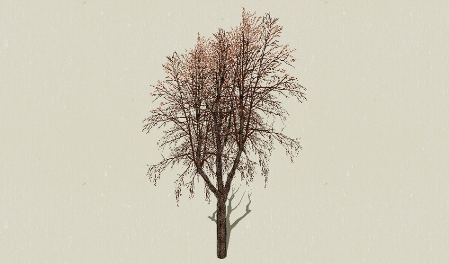 ����������1-����Sketchupģ��20220226.jpg
