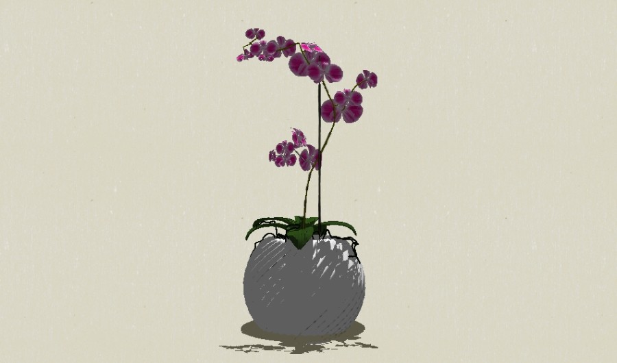 ����-Sketchup��ͼ��ʦEnscape����ģ��2022051195.jpg