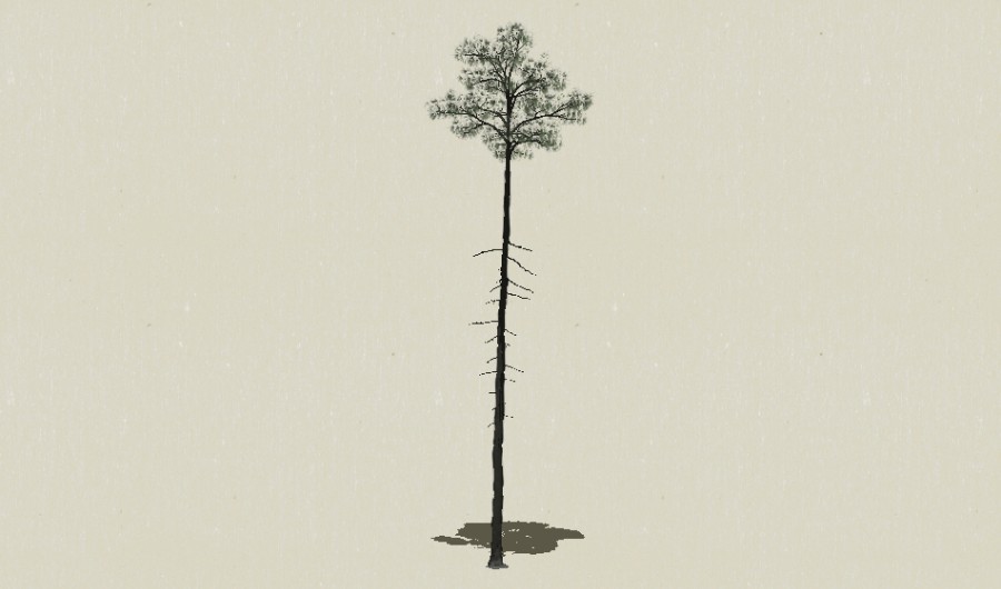 ��Ҷ��ľ-Sketchup��ͼ��ʦEnscape����ģ��202205114.jpg