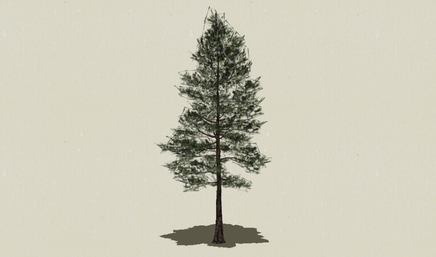 ��Ҷ��ľ-Sketchup��ͼ��ʦEnscape����ģ��202205118.jpg