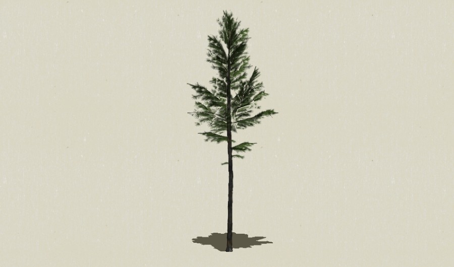 ��Ҷ��ľ-Sketchup��ͼ��ʦEnscape����ģ��2022051113.jpg