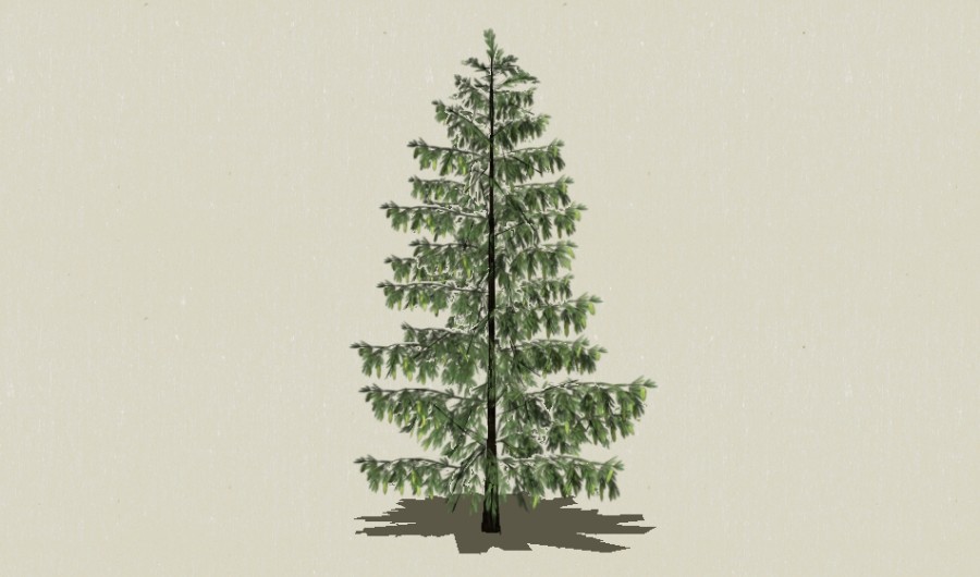 ��Ҷ��ľ-Sketchup��ͼ��ʦEnscape����ģ��2022051111.jpg