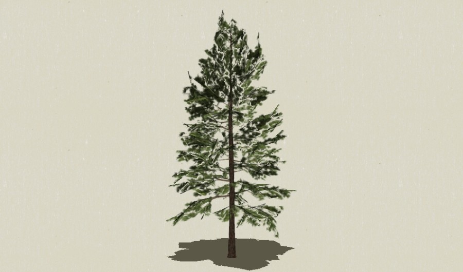 ��Ҷ��ľ-Sketchup��ͼ��ʦEnscape����ģ��2022051110.jpg